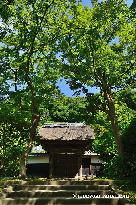 円覚寺
